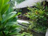 Click here to visit the Water Garden Bungalows