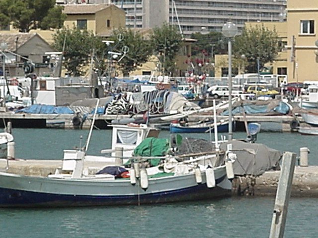 Fishing port at Palma